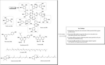 Natural Product-Based Studies for the Management of Castration-Resistant Prostate Cancer: Computational to Clinical Studies